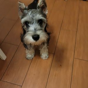 Meet your Posher, Georgia